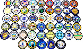 a picture of all 50 state seal patches lined up next to each other
