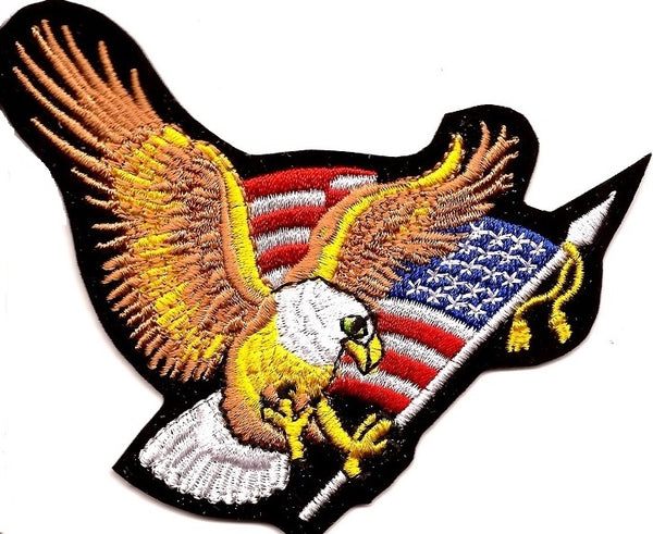 Eagle with US Flag